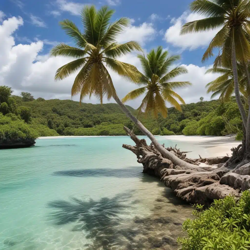 Rare Treasures, Rare Stories: Preserving the Natural Wonders and Eco-tourism of the Cook Islands